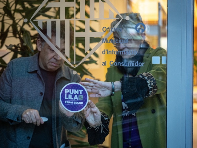 Sindicatura Greuges Punt Lila