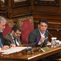 Plenari informe anual 2024