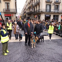 Accessibilitat Discapacitat visual